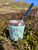 Ice Cream Canteen