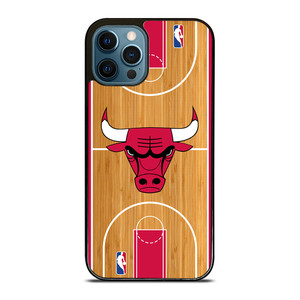 CHICAGO BULLS NBA ARENA iPhone 12 Pro Max Case Cover