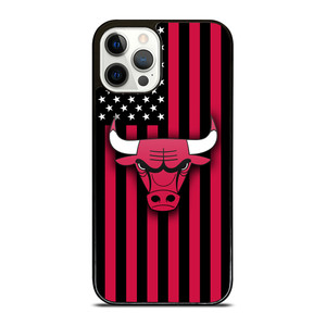 CHICAGO BULLS NBA USA FLAG iPhone 12 Pro Case Cover