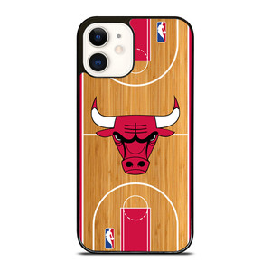 CHICAGO BULLS NBA ARENA iPhone 12 Case Cover