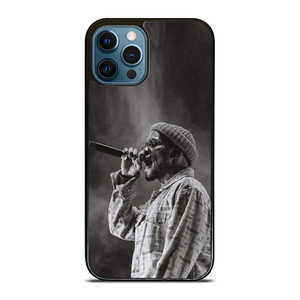 ANDERSON PAAK RAPPER COOL iPhone 12 Pro Max Case Cover