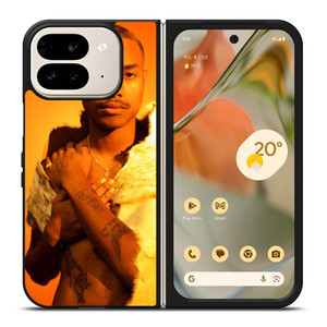 STEVE LACY SINGER 2 Google Pixel 9 Pro Fold Case Cover
