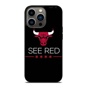 CHICAGO BULLS SYMBOL iPhone 13 Pro Case Cover