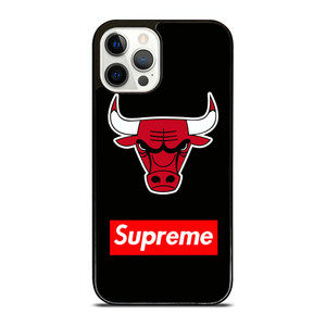 CHICAGO BULLS SUPREME iPhone 12 Pro Case Cover