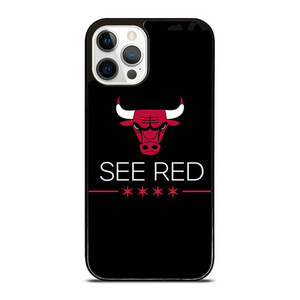 CHICAGO BULLS SYMBOL iPhone 12 Pro Case Cover