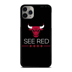 CHICAGO BULLS SYMBOL iPhone 11 Pro Max Case Cover