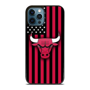 CHICAGO BULLS NBA USA FLAG iPhone 12 Pro Max Case Cover