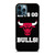 LETS GO CHICAGO BULLS NBA BASKETBALL iPhone 12 Pro Max Case Cover