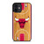 CHICAGO BULLS NBA ARENA iPhone 12 Mini Case Cover