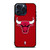 CHICAGO BULLS BASKETBALL NBA iPhone 15 Pro Max Case Cover