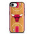 CHICAGO BULLS NBA ARENA iPhone 16e Case Cover
