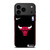 CHICAGO BULLS NIKE NBA BASKETBALL iPhone 17 Pro Max Case Cover