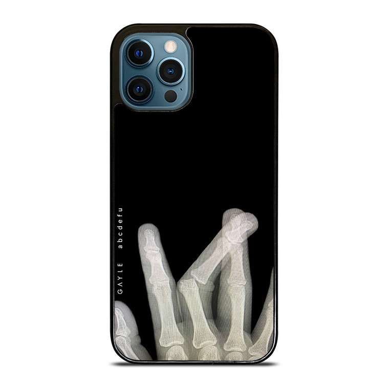 GAYLE ABCDEFU SONG COVER iPhone 12 Pro Max Case Cover