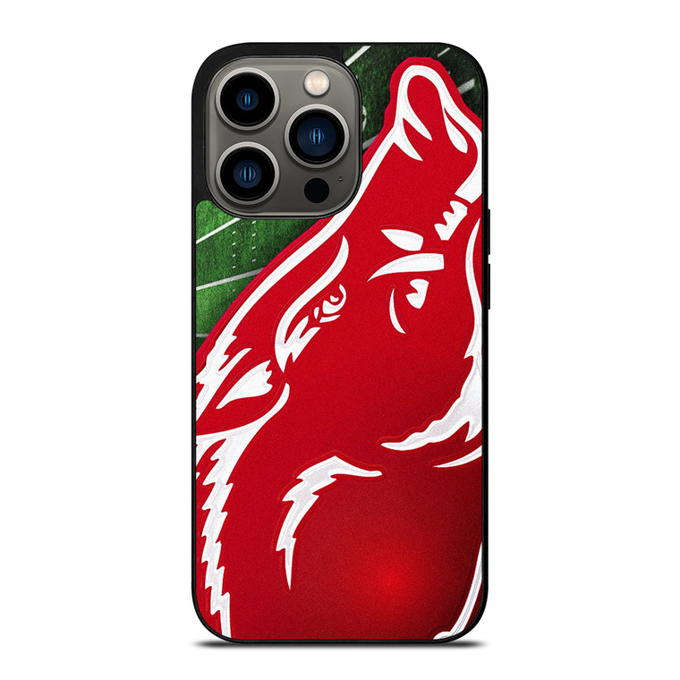 ARKANSAS RAZORBACKS FOOTBALL iPhone 13 Pro Case Cover