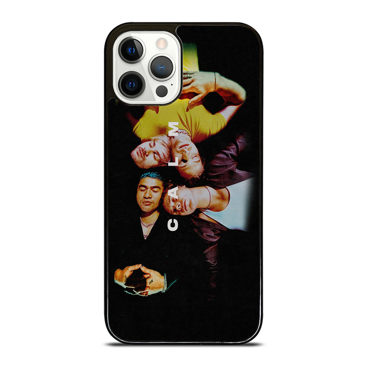 5 SECONDS OF SUMMER SOS CALM iPhone 12 Pro Case Cover