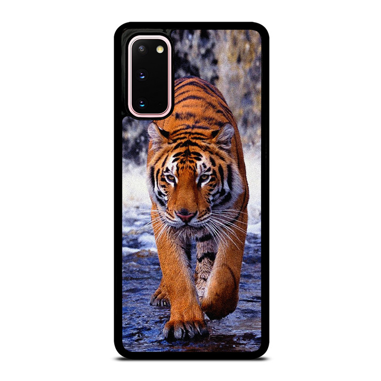 BENGAL TIGER COOL