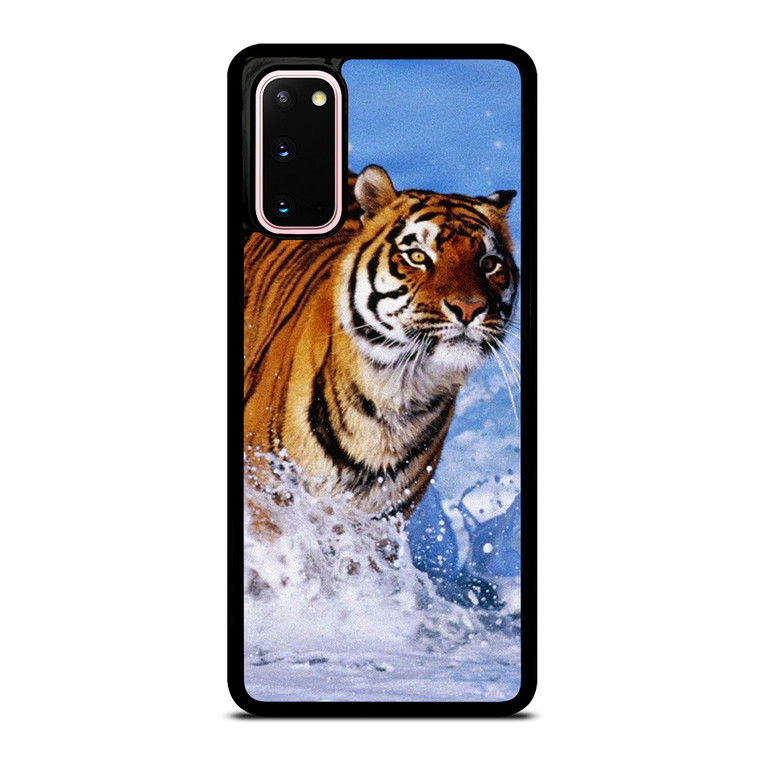 BENGAL TIGER