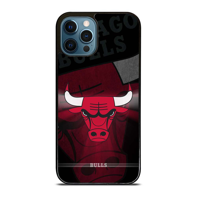 CHICAGO BULLS NBA SYMBOL iPhone 12 Pro Max Case Cover