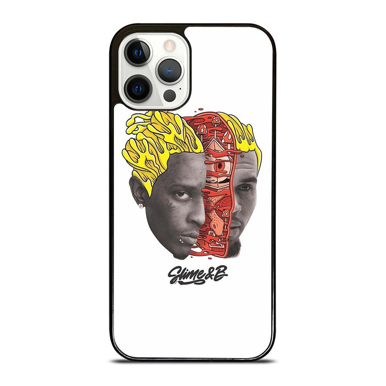 CHRIS BROWN YOUNG THUG SLIME & B iPhone 12 Pro Case Cover