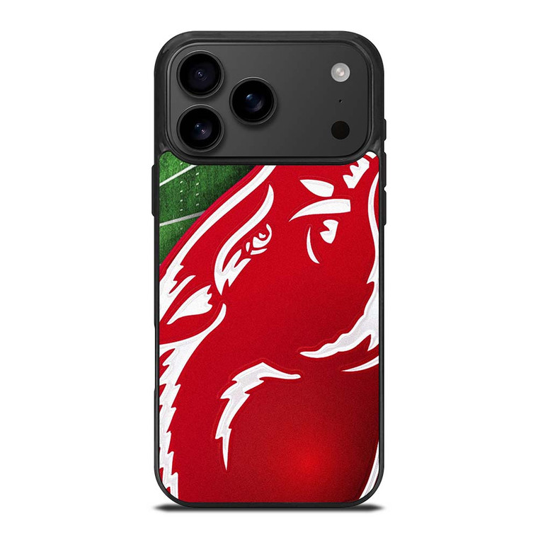 ARKANSAS RAZORBACKS FOOTBALL iPhone 17 Pro Max Case Cover