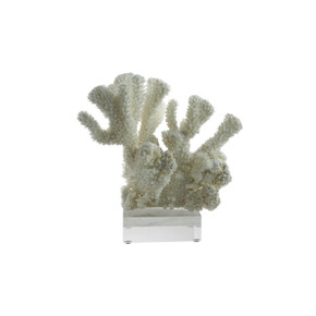 Cauliflower Coral 7"-10" On Acrylic Base