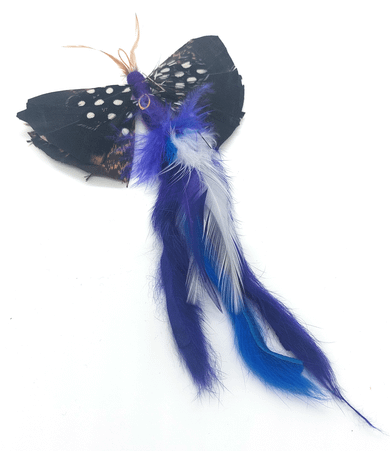 Blue Butterfly with tail KatFly® Teaser