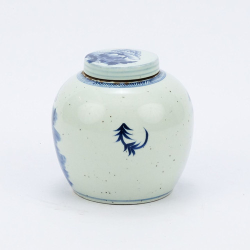 Blue & White Peony Ancestor Jar