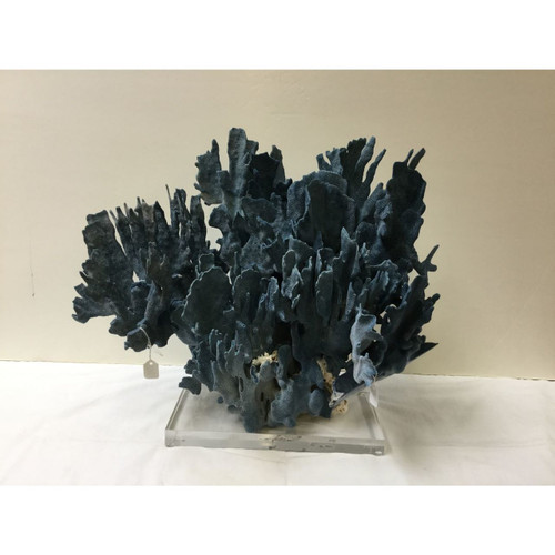 Blue Coral Creation On Acrylic Base