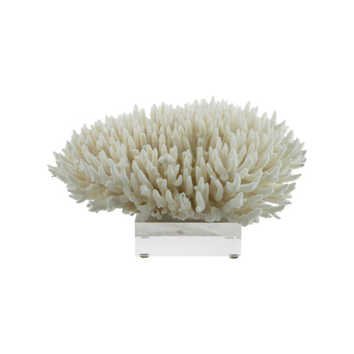 Finger Coral 10"-12" On Acrylic Base