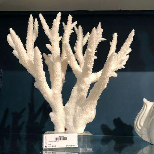 Staghorn Coral 15'