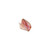 Pink Conch Shell 8-10 in