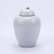Busan White Lidded Porcelain Jar Bronze Ring Tall