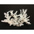 Branch Coral Creation