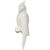 White Parrot RS Large - Min 2