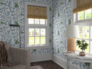 [Daylight](room render)