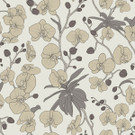 [Haze](pattern)