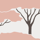 [Shell](pattern zoomed)