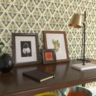 [Lichen](room render)