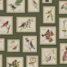[Green](pattern)