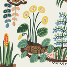Primavera Sample