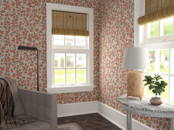 [Americana](room render)