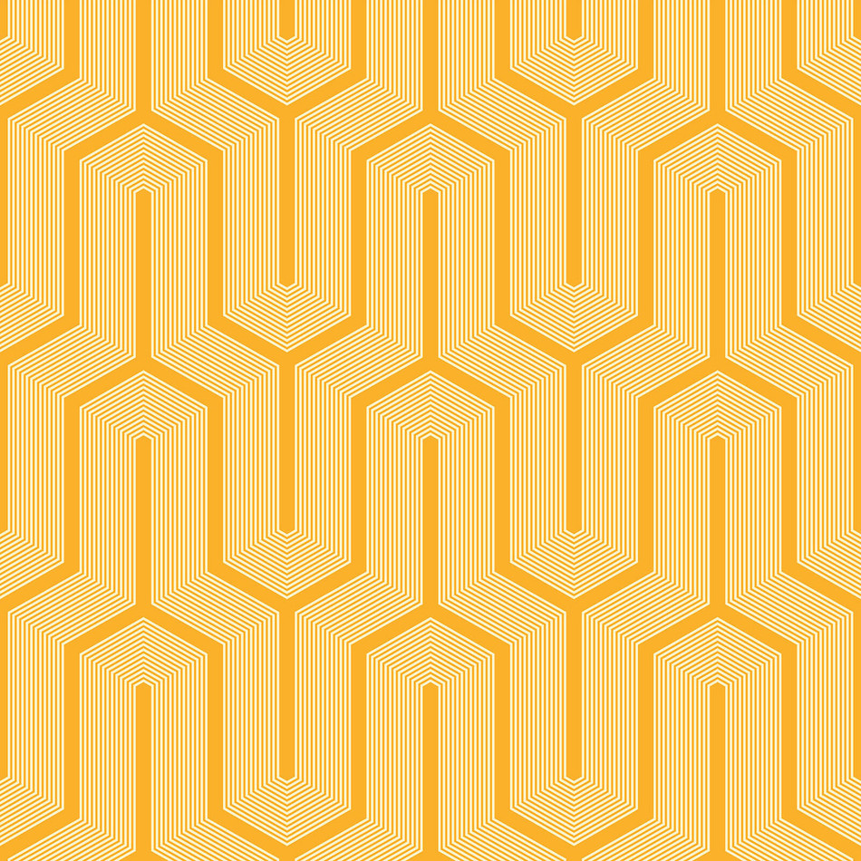 [Citrus](pattern)