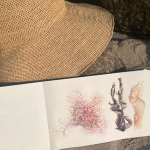 One-Day Watercolour Retreat at Hald Strand – Saturday, 20 June