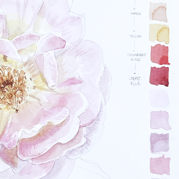 Detail of a rose painting