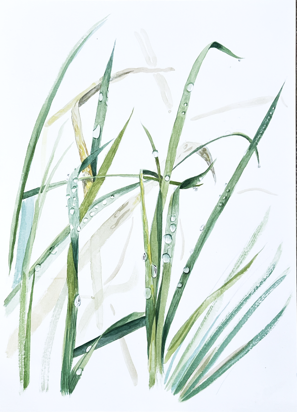 "Morning Dew: Wild Grasses in Watercolour" – Original Painting