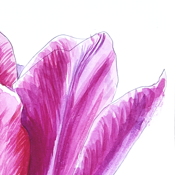 "Spring Whispers: Tulips in Watercolour" – Original Painting