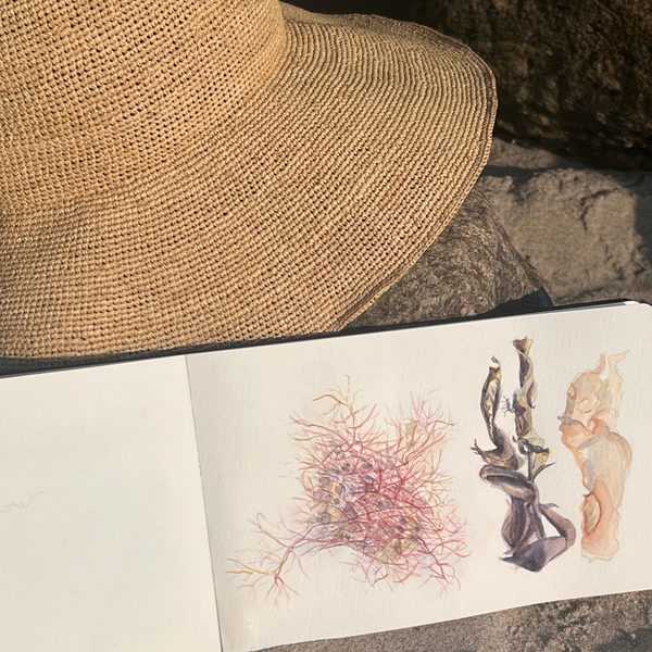 One-Day Watercolour Retreat at Hald Strand – Saturday, 20 June