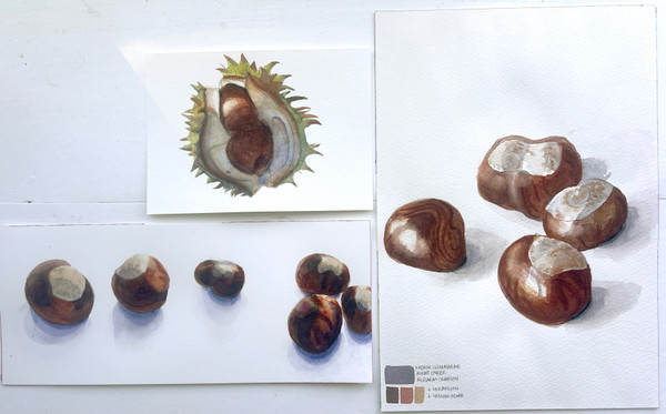 One-Day Watercolour Retreat at Hald Strand – Saturday, 10 October