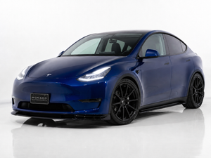 Model Y