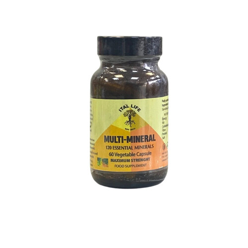 Ital Life Endo-Parasite Ital Life Multi-mineral 60 capsules